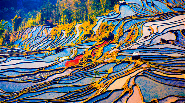 Yuanyang Rice Terraces - The Chinese Rice Terraces of Dreams