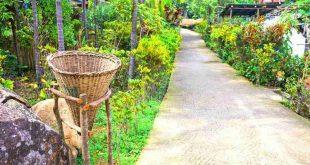 Mawlynnong, Meghalaya – The Cleanest Village of Asia